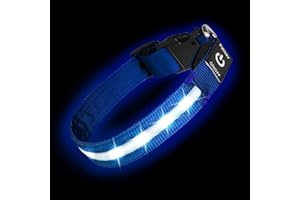 PetIsay Light up Dog Collar - High Visibility & Durable Nylon Material - USB C Rechargeable & Waterproof LED Dog Collar for Night Walking,Lighted Dog Collar Glow in The Dark Flashing(Blue,Medium)