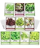 Gardeners Basics, Salad Greens Lettuce Seeds