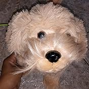 meva paw pals walking dog