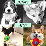 CIIVURR Snuffle Ball for Dogs Interactive Puzzle Feeder Red Rainbow view 5