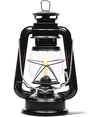 Amazon.com: Dietz Original #76 Oil Lamp Burning Lantern - Nickel