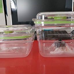 Foodsaver FFC015X-01 Fresh containers, Plástico, Transparente y ...