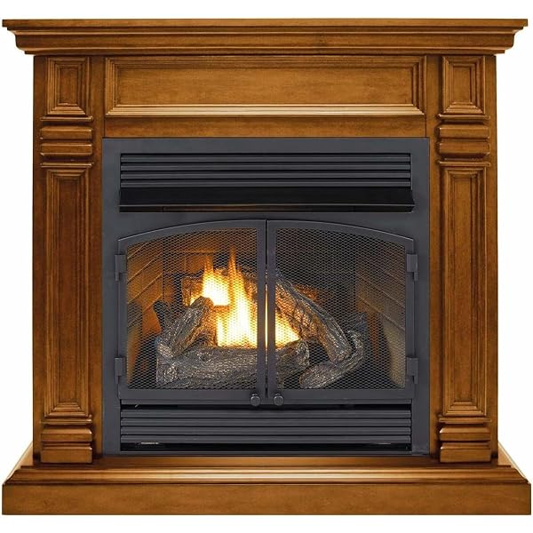 Amazon.com: ProCom Dual Fuel Ventless Gas Fireplace Insert with Thermostat  Control, 4 Fire Logs, Use with Natural Gas or Liquid Propane, 10000 BTU,  Heats up to 500 Sq. Ft., Black : Home u0026 Kitchen