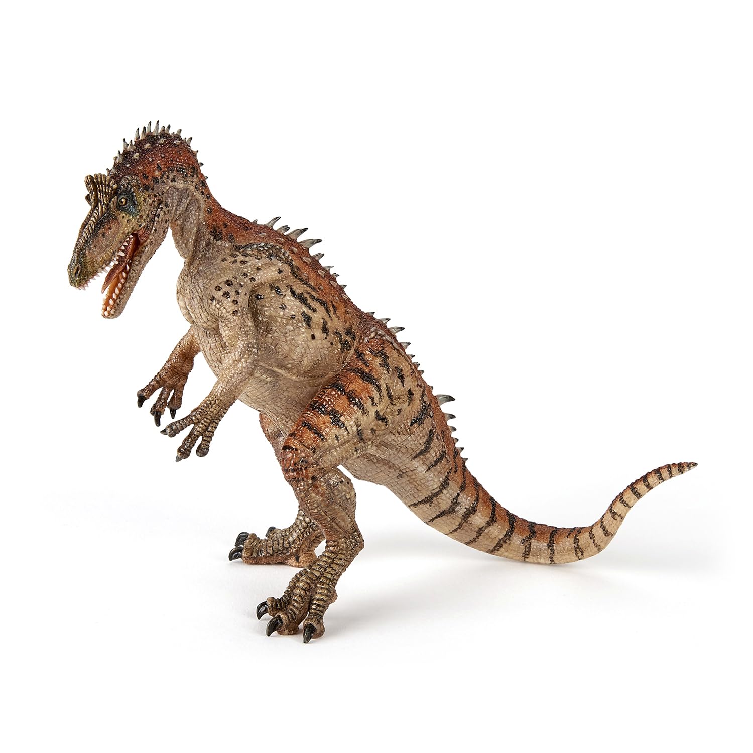 Papo - Realistic Cryolophosaurus Dinosaur Figure - Ages 3+ - Dinosaurs Collection - Educational Play Carnivorous Dinosaur - Gift Idea Toy for Girls and Boys - 11.3 Cm