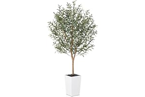 VeriNatural Artificial Olive Tree 6FT, Faux Olive Trees with Real Wood Trunk, UV Resistant Fake Plants in Planter & River Rocks, Indoor Tall Silk Plant for Home Living Room Office Outdoor Decor, VN133