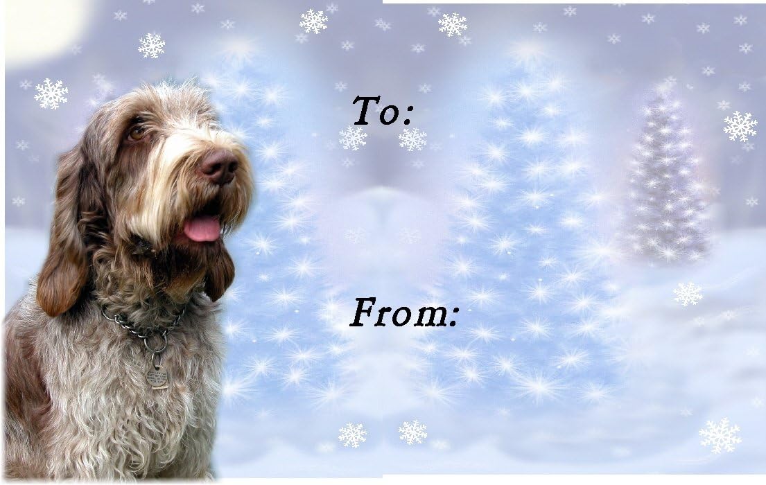 Italian Spinone (No.2. design) Dog Christmas Labels (42) - Self Adhesive