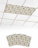 Summer 4 Pcs Fluorescent Light Covers for Ceiling