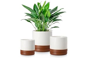 vancasso Ceramic Plant Pots, 3 Piece Planters for Indoor Plants, 4.25+5.25+6.25 Inch Flower Pots with Drainage, Plant Pots Indoor for Succulent, Pothos, Snake Plant and Money Tree, Etc (Khaki)