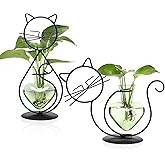 Plant Terrarium Plants Propagation Station Cat Lover Gifts for Women Home Office Decor Cat Desk Accessories