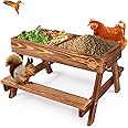 Amazon.com : Chicken Table No Waste, Chicken Picnic Feeder Handmade ...