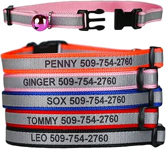 customized collar for cats