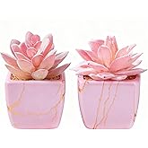 Taybonds Artificial Succulent in 2PCS Pink Ceramic Pot, Small Fake Succulents Plants for Office and Desk Decor,Bathroom
