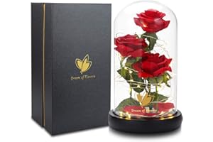 DREAM OF FLOWERS Beauty and The Beast Rose, Rose Flowers with LED Lights and Falling Petals, Valentines Day Gifts for Women, Birthday Gifts for Mom, Light Up Rose in Glass Dome, Flowers Gifts for her