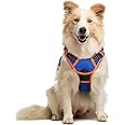 rabbitgoo Dog Harness, No-Pull Pet Harness with 2 Leash Clips, Adjustable Soft Padded Dog Vest, Reflective No-Choke Pet Oxford Vest with Easy Control Handle for Large Dogs, Blue & Orange, M