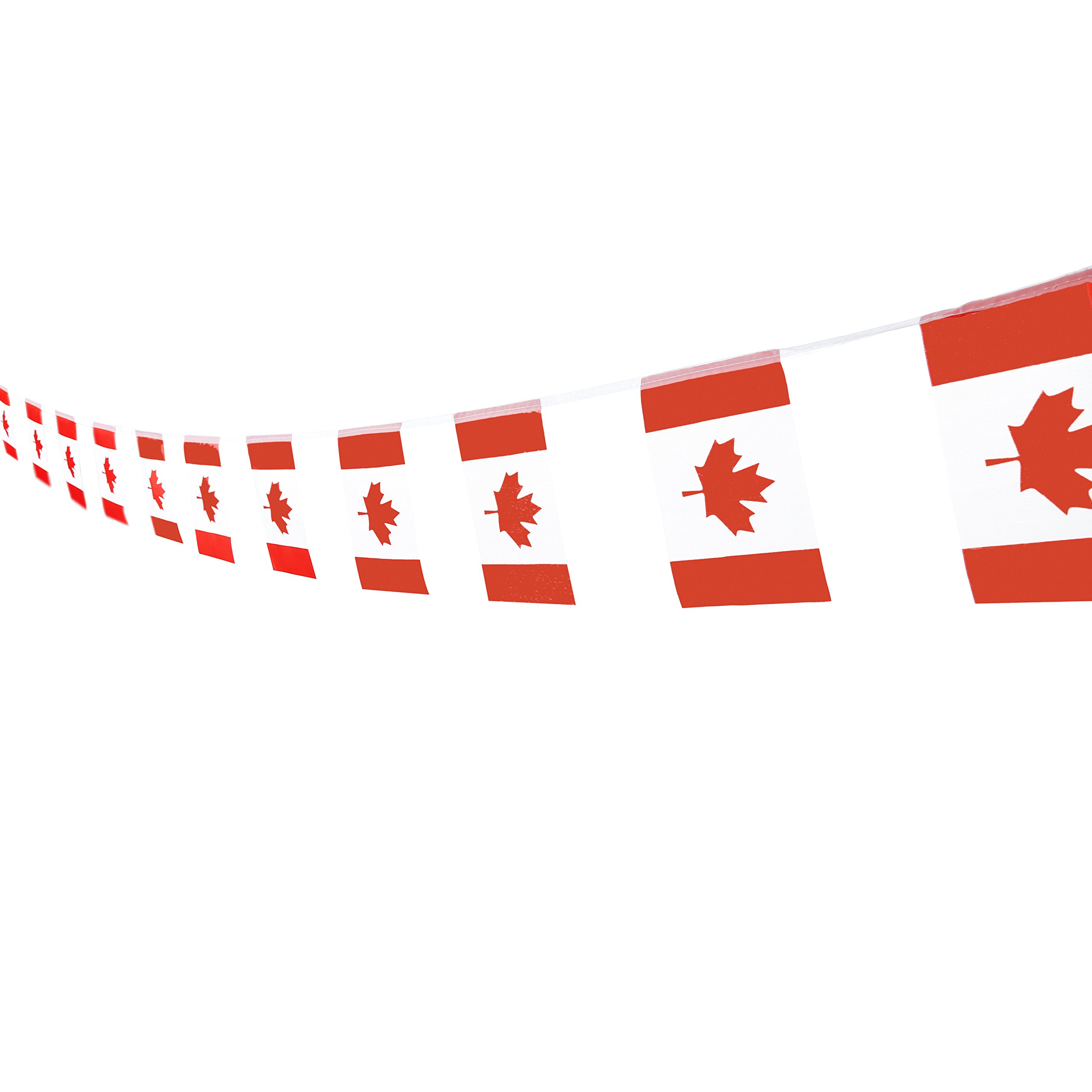 Canada Flag Canadian Flag,100Feet/76Pcs National Country World Pennant Flags Banner,Party Decoration Supplies For,Bar,Indoor. outdoor flags,Intarnational Festival