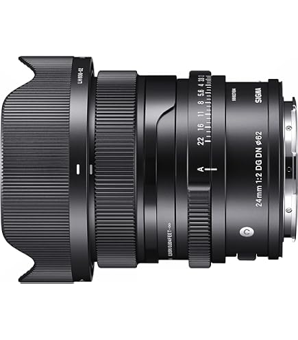 Amazon.com : 24mm F2 DG DN for Sony E : Electronics