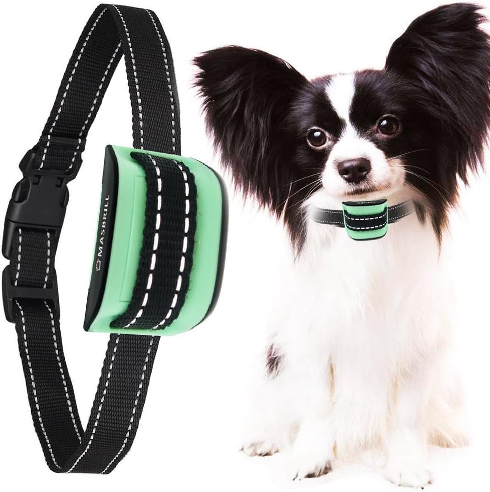 best bark collar for small dogs 2019
