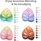 Ohuhu 320 Colors Alcohol Markers Dual Tips Refillable Art Set view 3