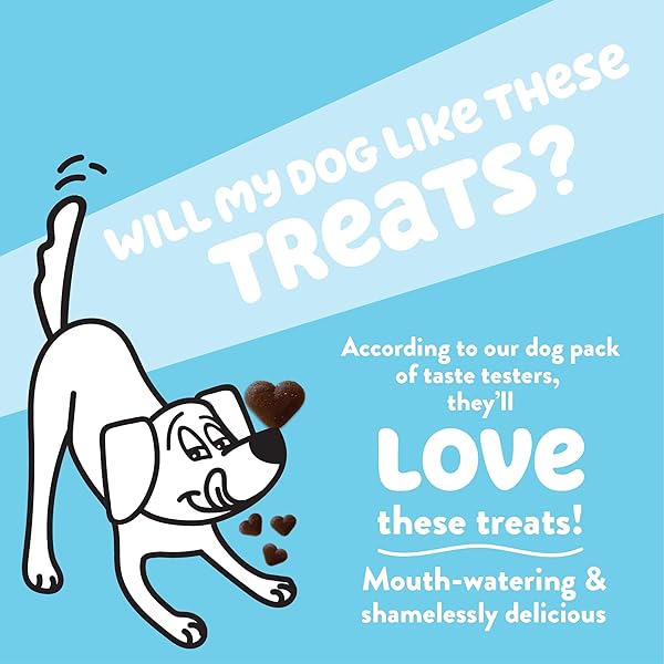 SHAMELESS PETS NATURAL GRAIN FREE DOG TREATS | MADE IN THE USA FROM UPCYCLED FOOD INGREDIENTS (APPLE)