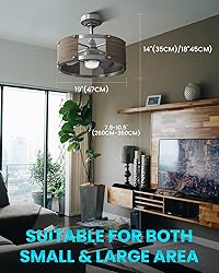 Frstem 19 Inch Farmhouse Caged Ceiling Fan, Solid