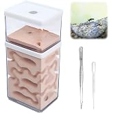 awagas 2-Tier Plaster Ant Farm Formicarium Transparent Ant Nest Habitat | Gypsum plaster nest, detachable, PC clear shell, feeding observation zone, humidity port, science lab tool, ants not included
