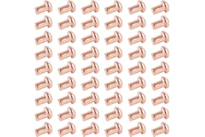 Aicosineg 200Pcs Solid Rivet 0.08in Dia 0.12in Length Rivets Kit Copper Solid Rivets M2 Copper Rivets Round Head Copper Solid Rivets Fastener for Electrical Applications Copper Finish Copper Tone