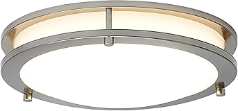 alexa controlled ceiling lights