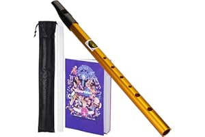 VixxNoxx Irish Tin Whistle in Key of C, Traditional Penny Whistles for Adults & Beginners, Ideal for Celtic Folk Music, Brass