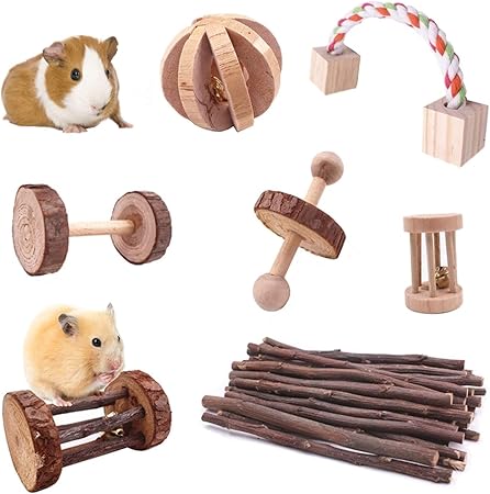 guinea pig toys amazon