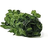 Windscreen4less Artificial Leaf Faux Ivy Expandable Stretchable Privacy Fence Screen Single Sided Leaves Amazon Ca Home Windscreen4less Artificial Leaf Faux Ivy Expandable Stretchable Privacy Fence Screen Single Sided Leaves Amazon Ca Home