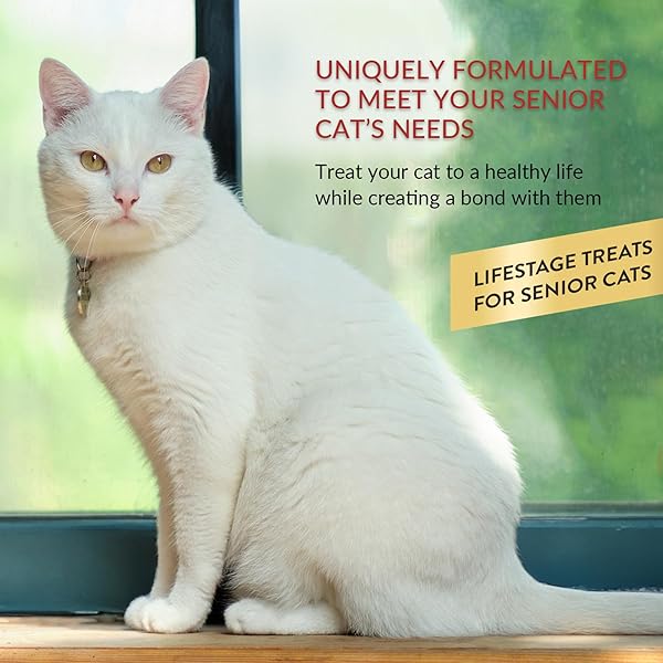 INABA CHURU FOR SENIOR 10+, CREAMY LICKABLE CAT TREATS WITH TAURINE, VITAMIN E & C, 0.5 OUNCES EACH, 60 TUBES, TUNA & CHICKEN VARIETY