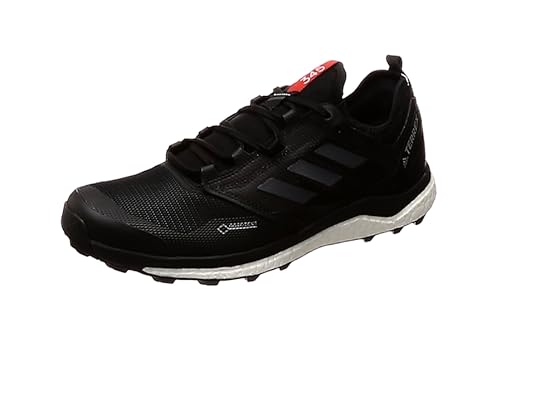 adidas herren terrex agravic xt gtx