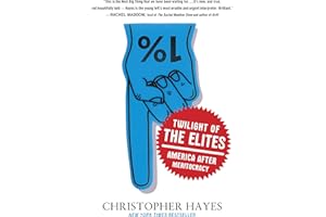 Twilight of the Elites: America After Meritocracy