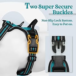 rabbitgoo Dog Harness No Pull with 2 Leash