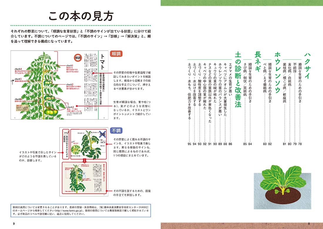 プロが教える 超図解 野菜の生育診断 回復ワザ Amazon Com Books