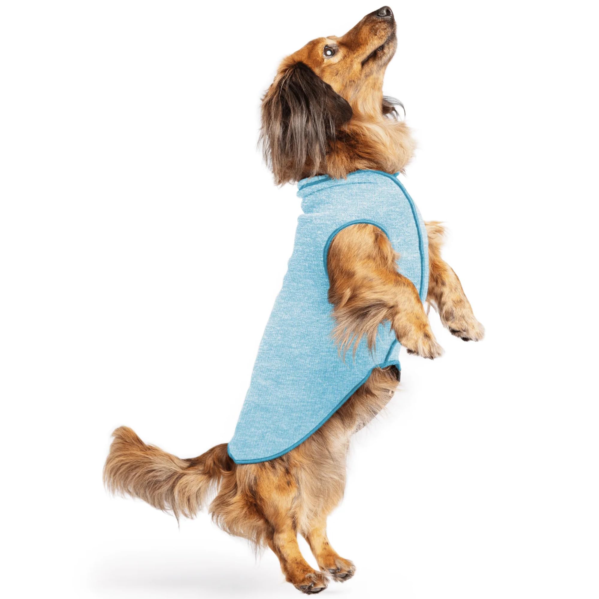 Gold Paw Sun Shield Dog Tee – T-Shirt for Canines – UV Protection, Pet Anxiety Relief, Wound Care – Protects Against Foxtails, Aids Alopecia - Machine Washable, All Season – Size 12 – Ocean Blue