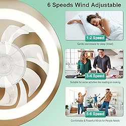 WESTTREE 20In Low Profile Ceiling Fans with Lights