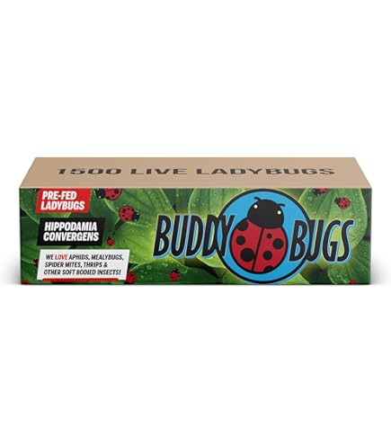 Heve ヘイヴ LADYBUG HEVE LADYBUGトップス