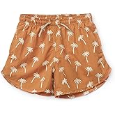 glcsisi Baby Toddler Boys Swim Trunks Quick Dry Swim Shorts Blue Striped Swimsuits Light Weight Board Shorts Beach Wear