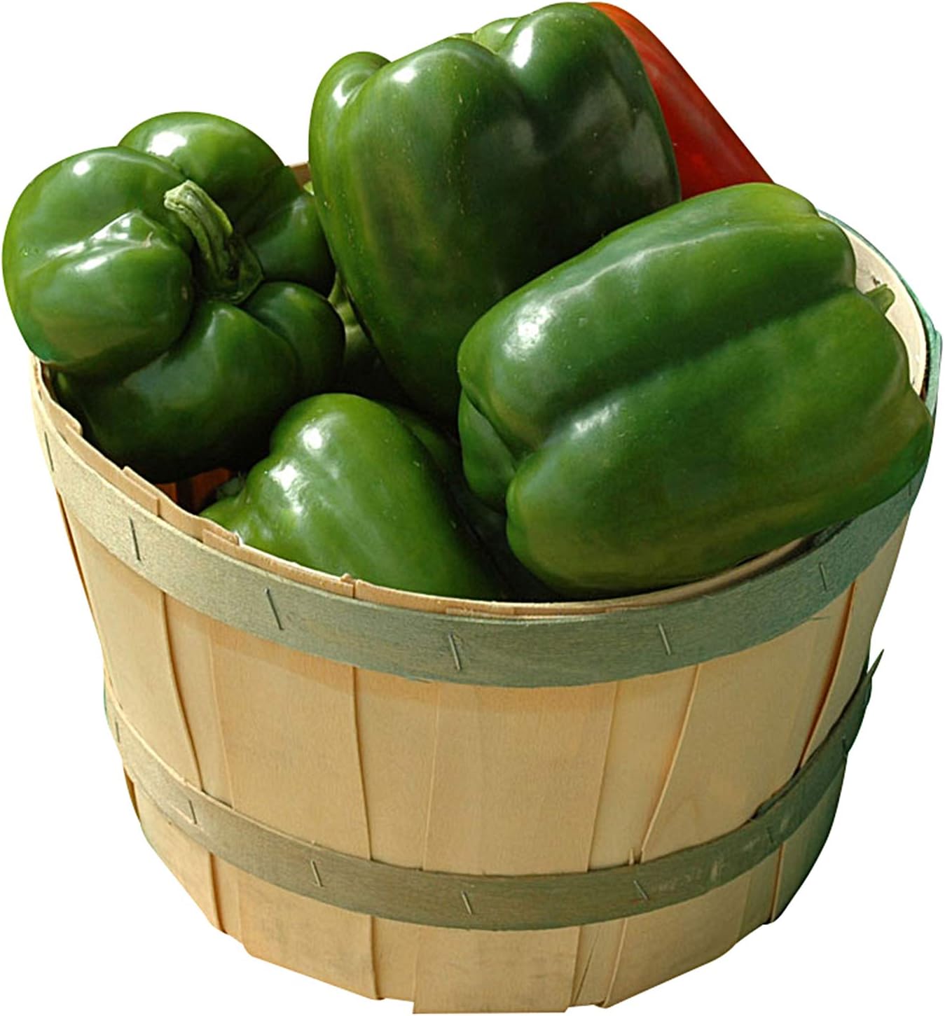 Bell Pepper Revolution - UntreatedcSeeds - Seed Packet (Appox. 45 Seeds)