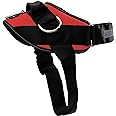 ShawnCo Essential Dog Harness, No-Pull Pet Vest with 3 Leash Clips, No Choke, Reflective, Adjustable and Padded, for Easy Walking and Training for Small Dogs (Mustang Red, S)