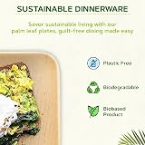 Eco Leaf 25 Disposable Palm Leaf Plates 4in Square Eco Friendly Oven Safe view 5