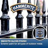 Hammerite Direct to Rust Exterior Gloss Black Metal Paint 250ml Pack of 5 view 2