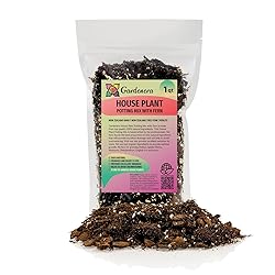 Premium Gardenera House Plant Potting Mix | Fern