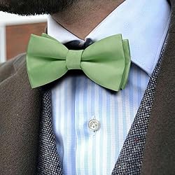 Barry.Wang Light Green Bow Ties for Men Pre-tied