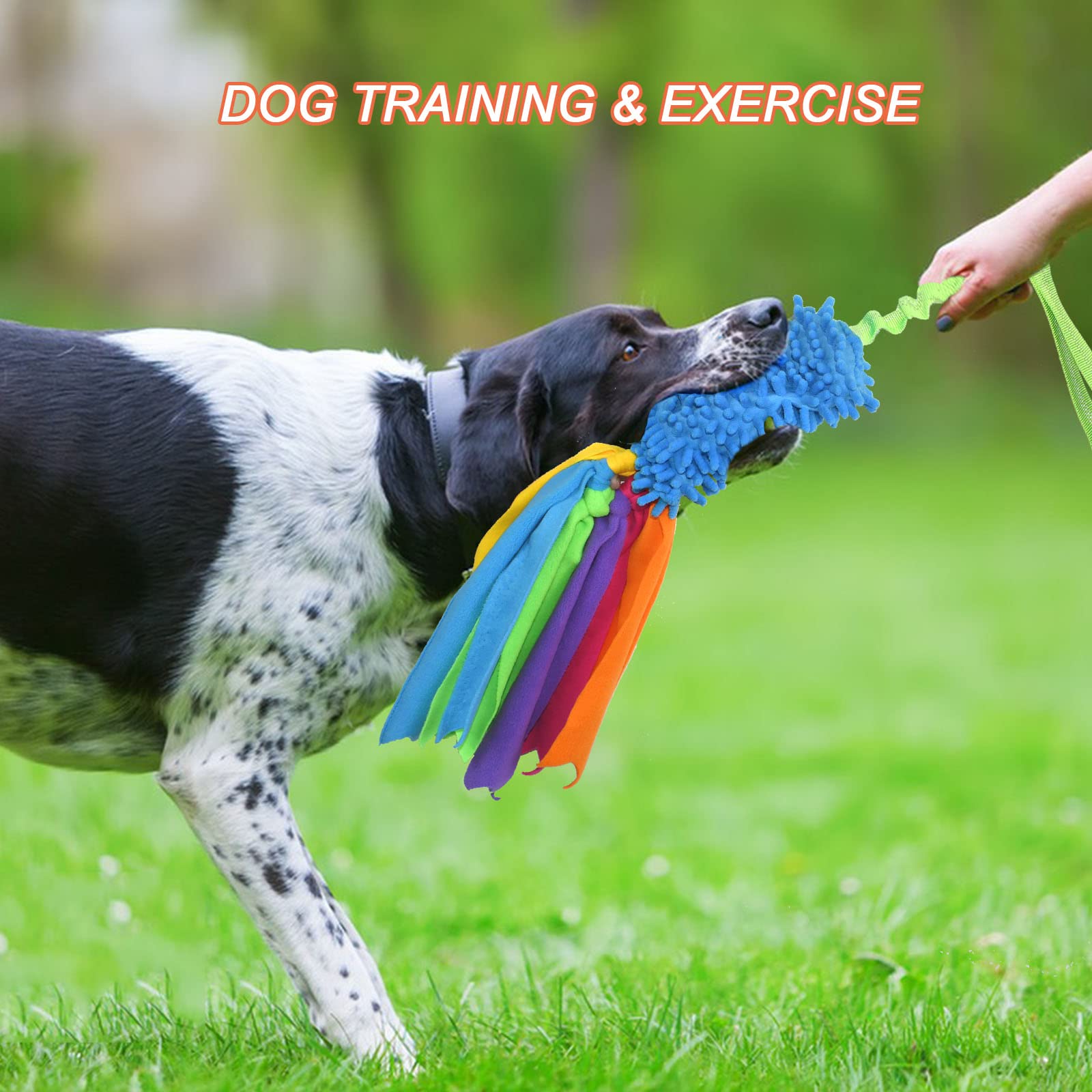 View 6