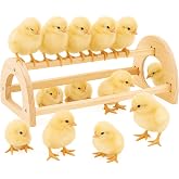 Chicken Roosting Perch Bar - Large Pine Wood with Mirror, Outdoor Use, Easy Installation