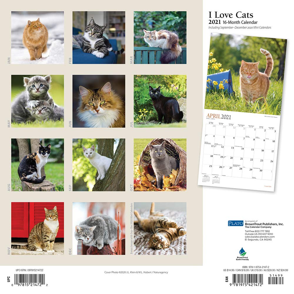 I Love Cats 21 12 X 12 Inch Monthly Square Wall Calendar With Foil Stamped Cover By Plato Feline Cat Plato Calendars Browntrout Publishers Inc Browntrout Publishers Editing Team Browntrout Publishers Design