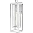 Hinkley Republic Large Wall Mount Outdoor Lantern, Composite, Clear Seedy Glass Panes, Anti-Fading Finish, Adjustable Mountin
