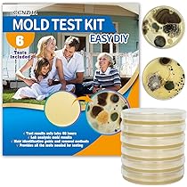 Kit De Test De Moisissure DIY FG500 - Surface Et Air, Pour CVC - Test Qualité Air